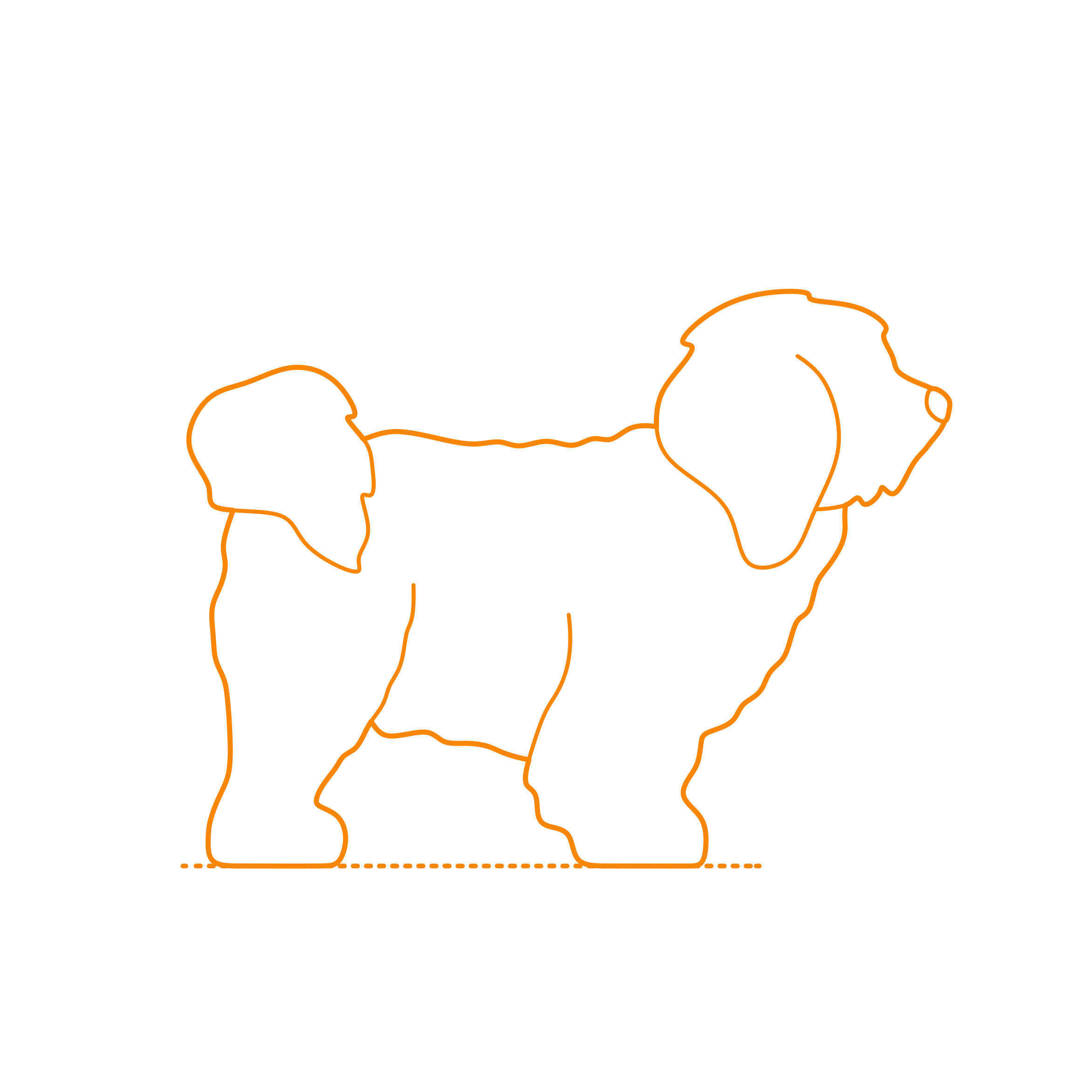 Animals Dogs Coton De Tulear Outline Svg File Free Vectors
